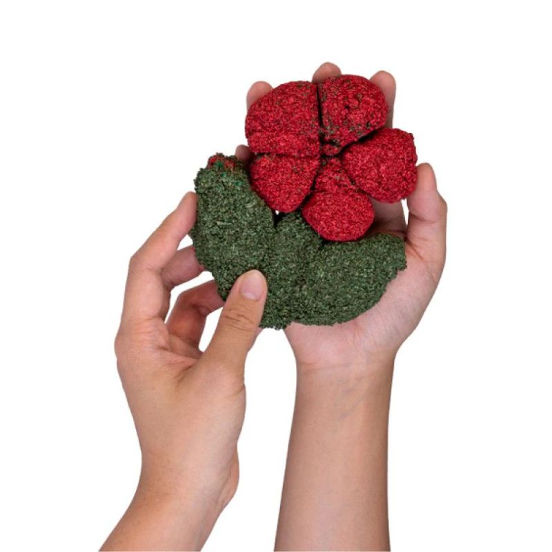 Eco Squishy Foam