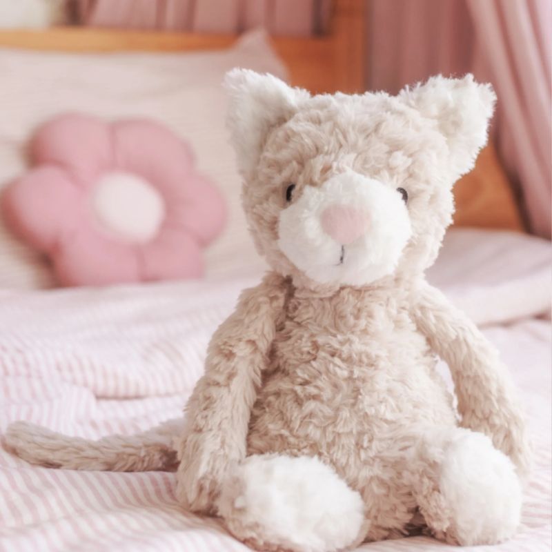 Pickles The Weighted Cat