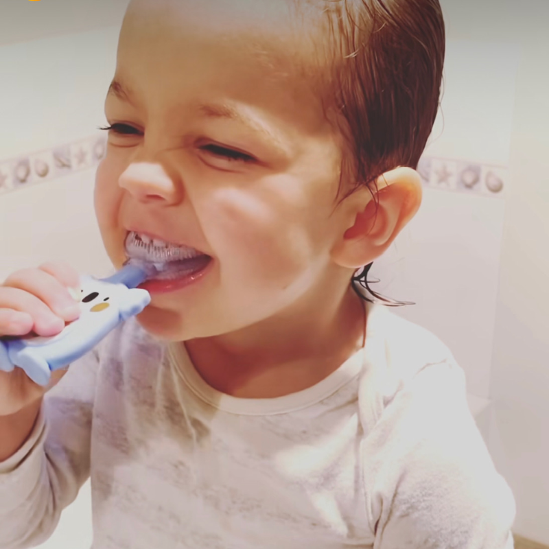 Bear Silicone Brush | Happy Bubs - Blue
