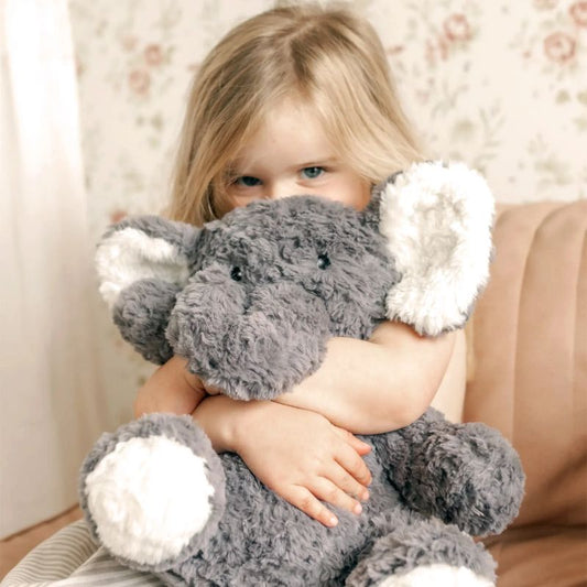 Eleanor The Weighted Elephant