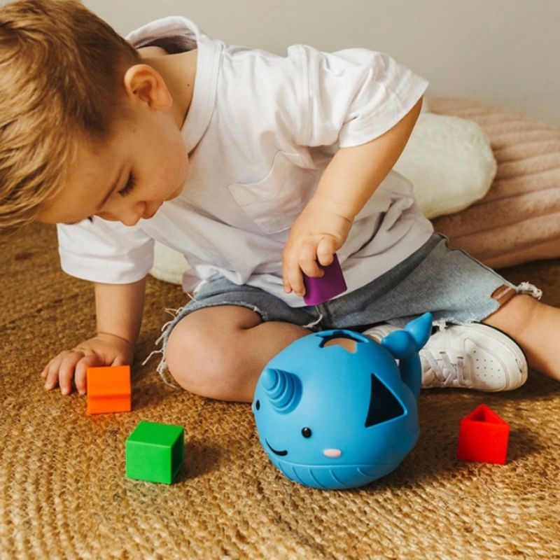 Shape Sorter Whale | JellyStone
