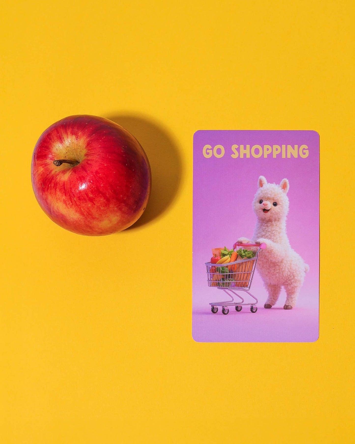 Snap Card Game - Everyday Things Snap!